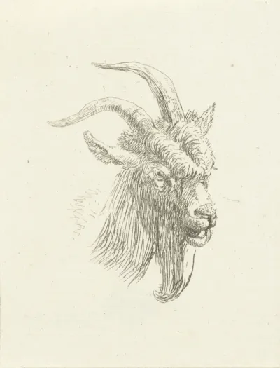 Kop van bok