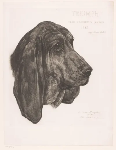 Kop van een bloedhond