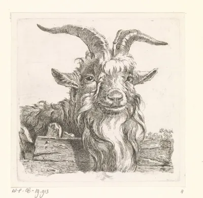 Kop van een bok