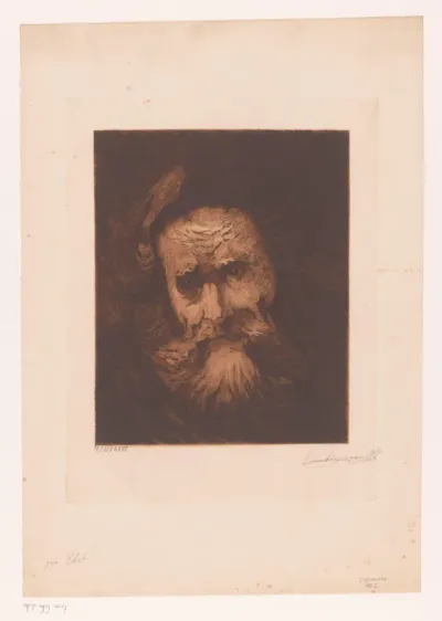 Kop van een grijsaard met baard