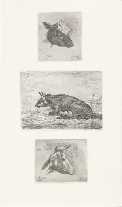 Kop van een kalf, liggende koe en kop van een stier