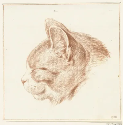 Kop van een kat, naar links