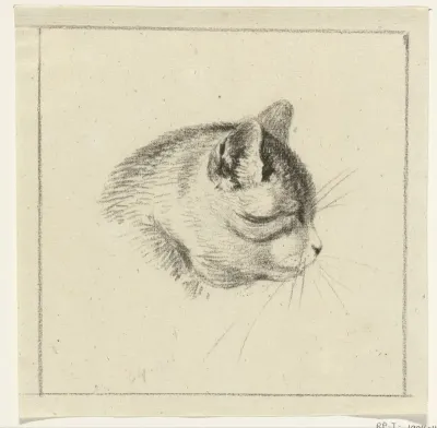 Kop van een kat, naar rechts