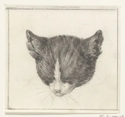 Kop van een kat