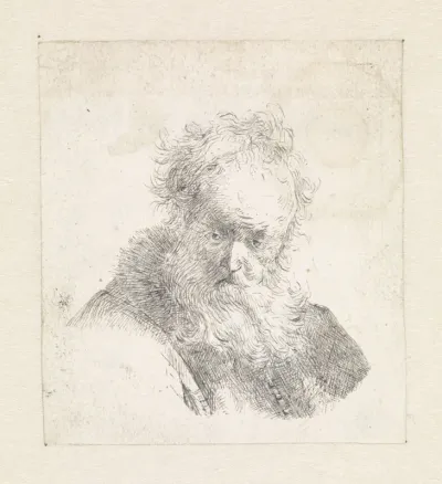 Kop van een oude man met baard