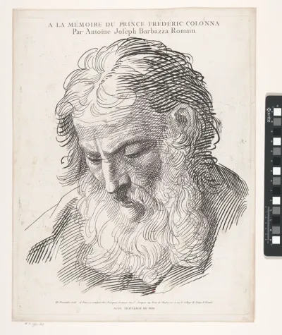 Kop van een oude man met baard