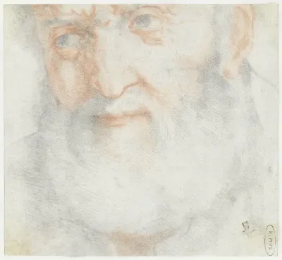 Kop van een oude man met baard