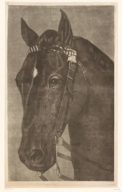 Kop van een paard met een hoofdstel