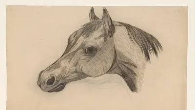 Kop van een paard, naar links