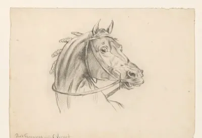 Kop van een paard, naar rechts