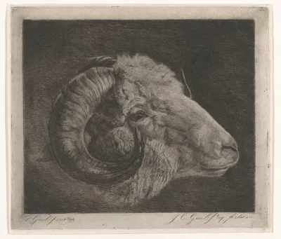 Kop van een ram met naar het oog gekromde hoorn