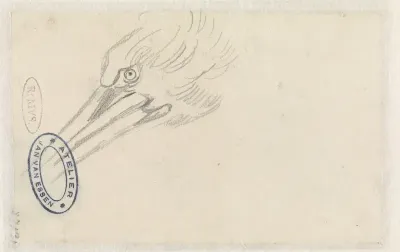 Kop van een reiger of pelikaan