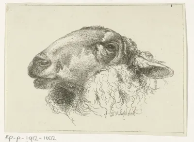 Kop van een schaap, naar links
