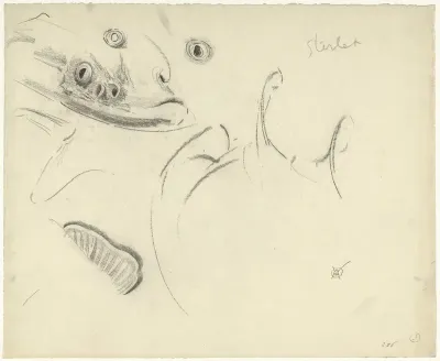 Kop van een sterlet en detailstudies van ogen, staart en vinnen