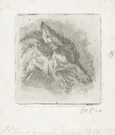 Kop van een wolf met open bek
