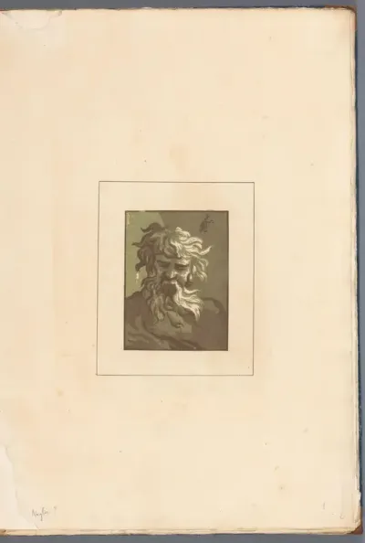 Kop van man met baard