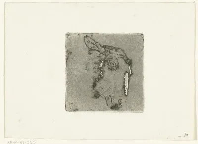 Kop van schaap