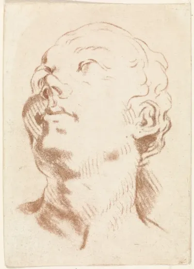 Kop van vrouw