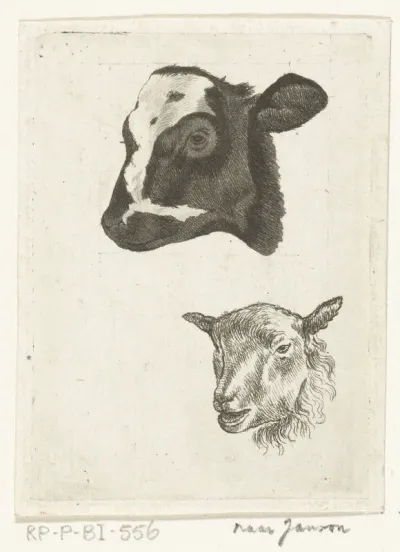 Kop van zwartbont kalf en schaap