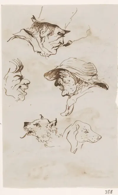 Koppen en honden
