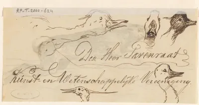 Koppen van eenden