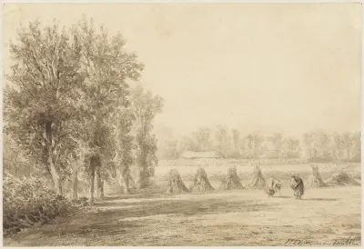 Korenveld