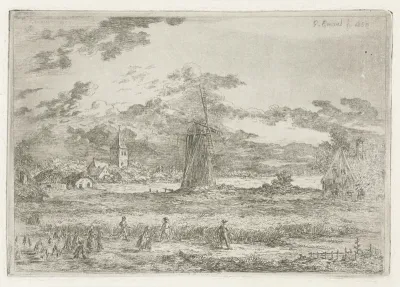 Korenveld met molen