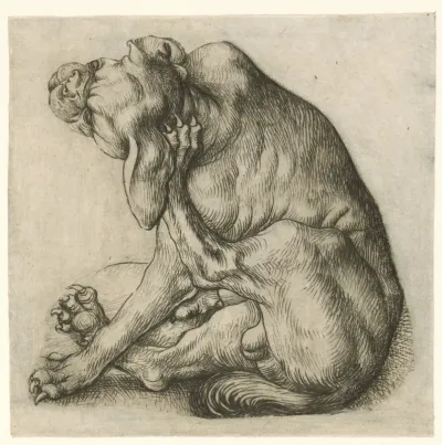 Krabbende hond