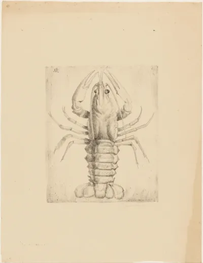 Kreeft