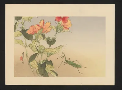 Krekel bij plant met oranje bloemen