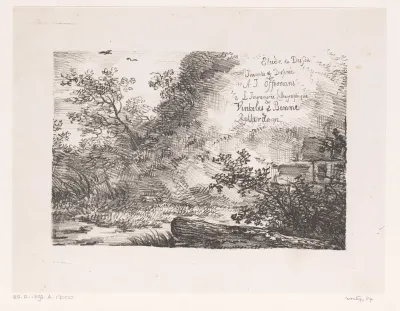 Kreupelhout en struiken