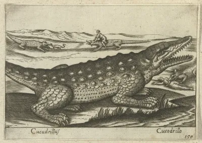 Krokodil