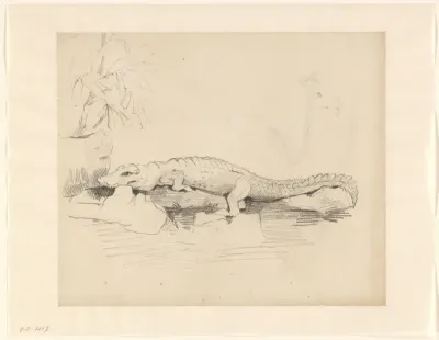Krokodil