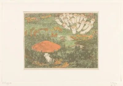 Kruisspin bij paddenstoelen