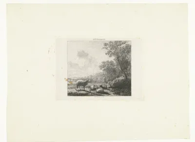 Kudde schapen bij de bosrand