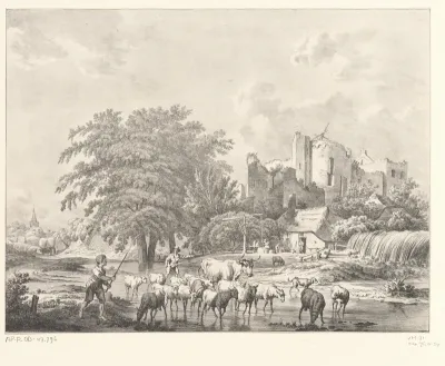 Kudde vee bij ruïne van Kasteel Brederode