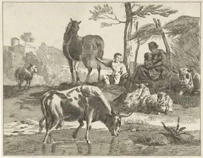 Kudde vee in heuvelachtig landschap