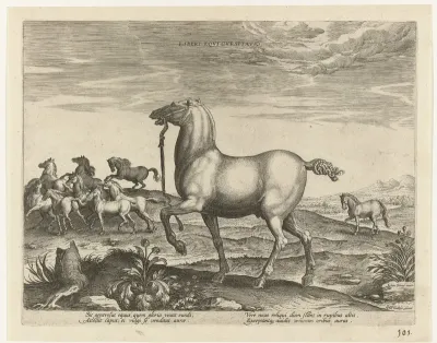 Kudde wilde paarden