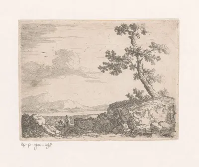 Kustlandschap met boom
