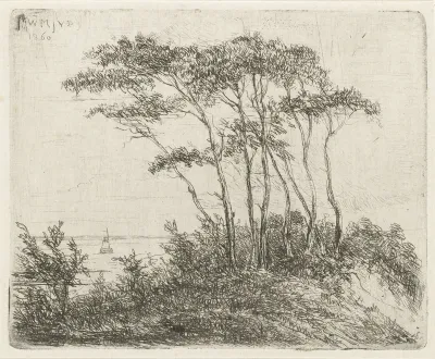 Kustlandschap met groep bomen op duin