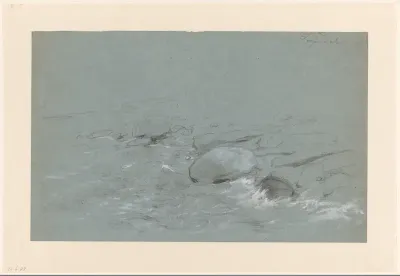 Kustlandschap met keien bij Tyssedal, Noorwegen