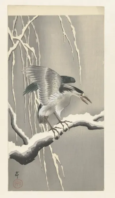 Kwak op besneeuwde tak