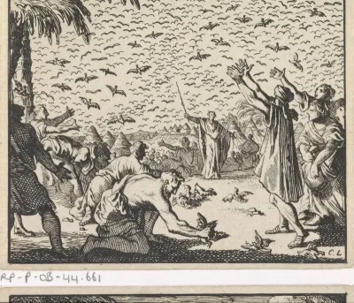 Kwartels in de woestijn