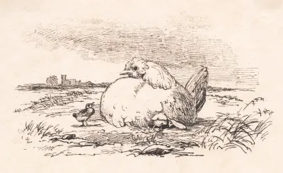 Kyllingerne