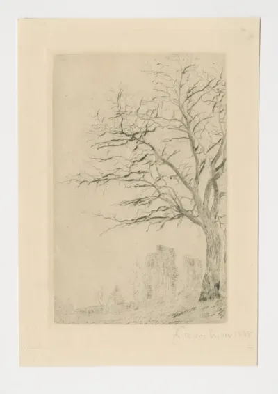 L'Acacia
