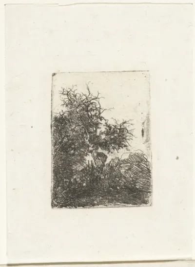 L'Arbre tordu