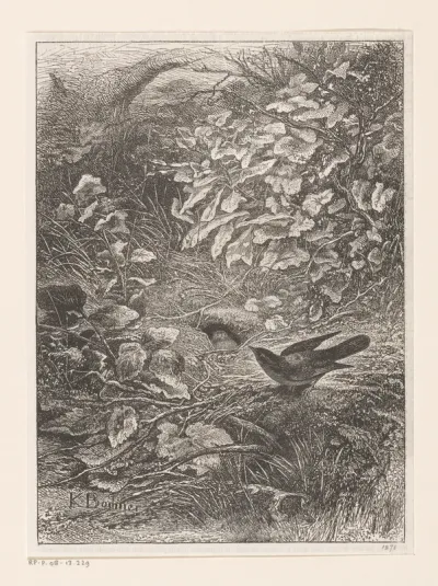 L'Asile de la fauvette