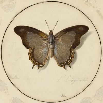 L'Endymien