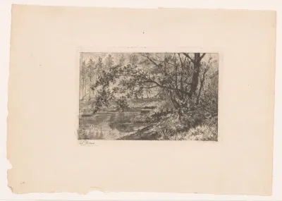 L'etang de Groenendael
