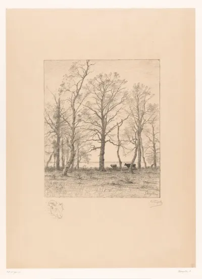 L'étang derrière les arbres